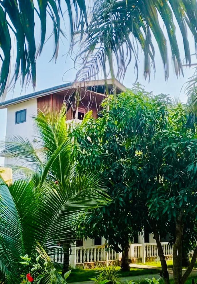 Serenity Haven Lodge Busua Eksteriør bilde