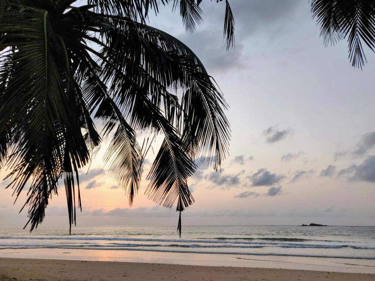 Serenity Haven Lodge Busua Eksteriør bilde